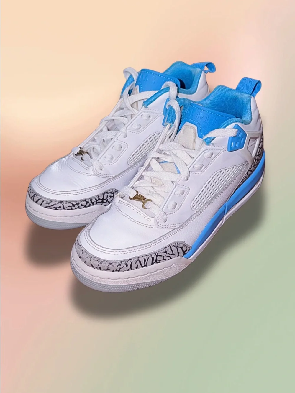 Nike jordan spizike